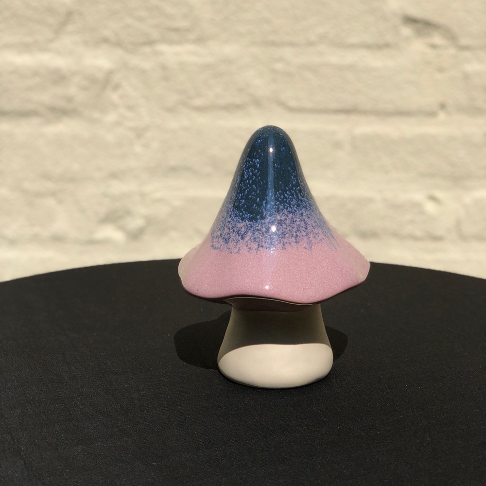 Big Magical Mushroom